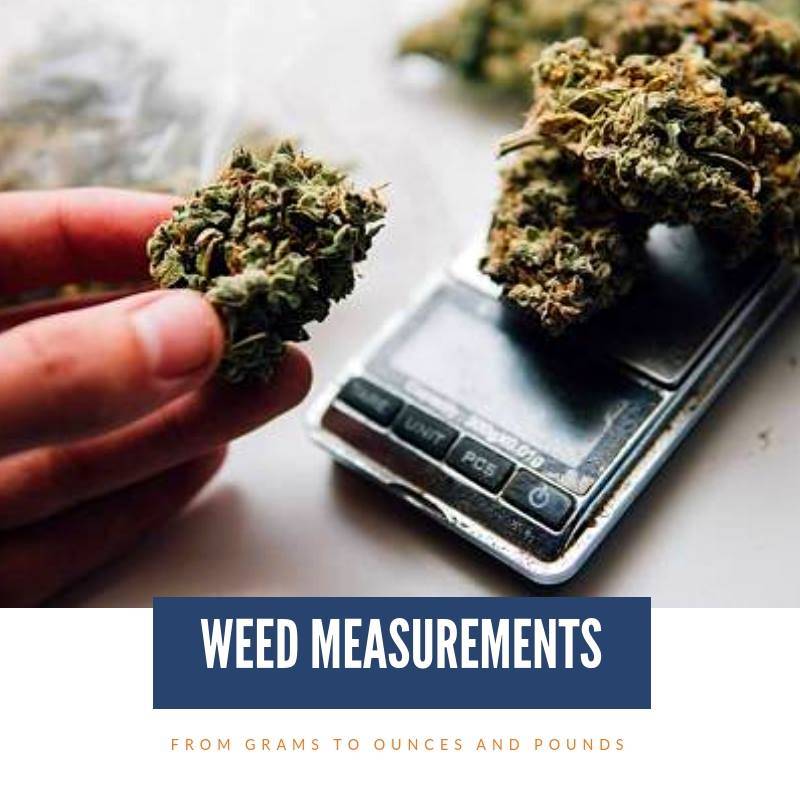 Mastering Weed Measurements: From Grams to Ounces
